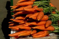 Морковь и тыква полезны для легких [30.03.2006 20:53]