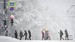 Московским школьникам разрешили не приходить на уроки из-за снегопада [04.02.2018 23:04]